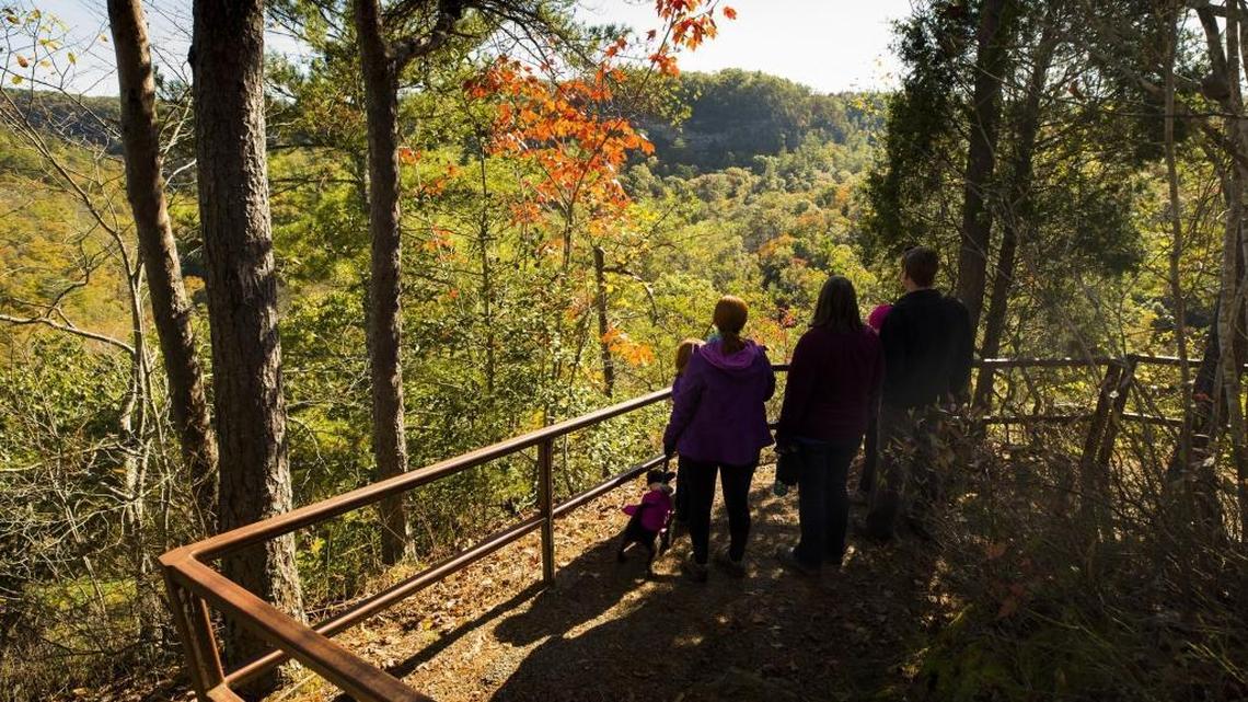 Lauren Webb, 7, and Brooke Webb, both of Goshen, Suzanne Webb, of Louisville, and Morgan Webb, 9, and Matt Webb, both of Goshen, along with their dog Daisy, looked out over changing foliage along Sky Bridge Trail in the Red River Gorge Geological Area in 2017.