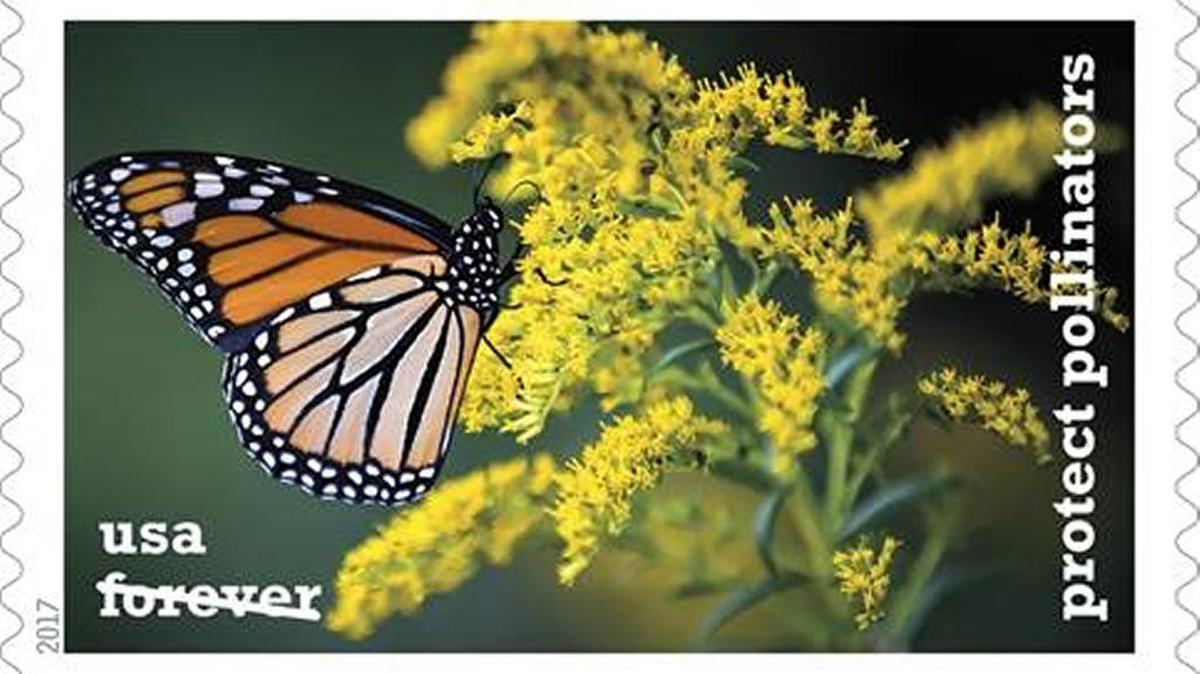 Justin Fowler’s photo of a monarch butterfly and goldenrod will appear on a Forever stamp.
