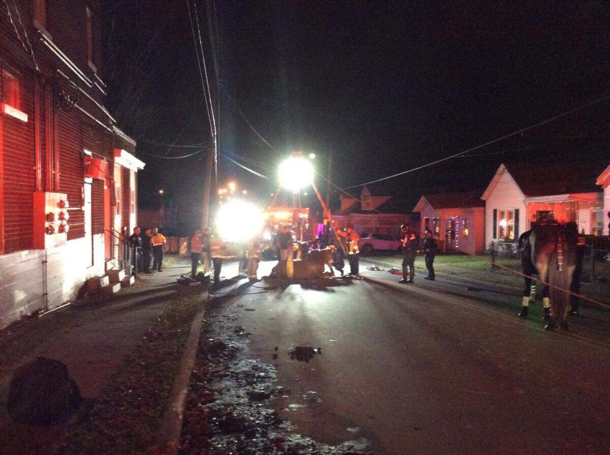 Workers tried to free a Lexington police horse Tuesday night that was trapped when it stepped into an open manhole on East Sixth Street near Elm Tree Lane.