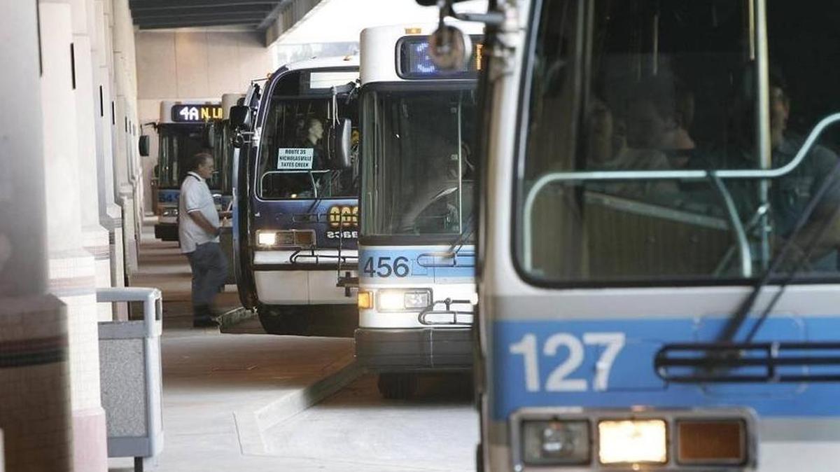 Lextran will offer free rides on Thanksgiving day. Buses will operate on a Sunday schedule on Thursday.