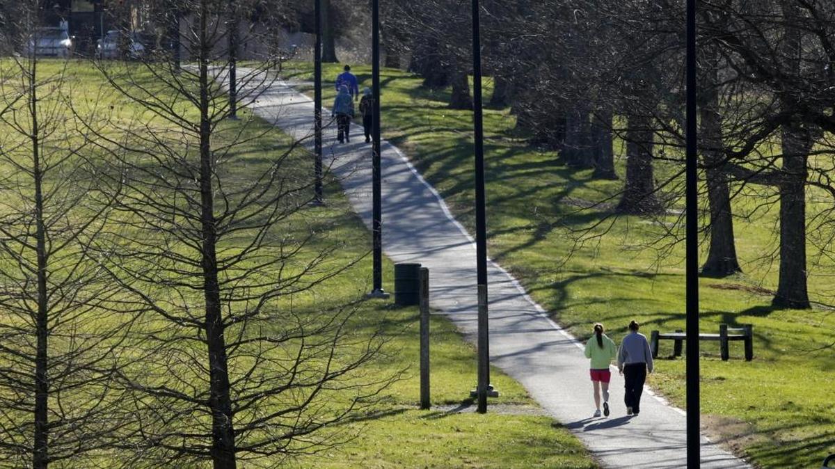 University of Kentucky researchers are looking for Lexingtonians interested in improving their health while gaining a greater awareness of their natural environment for a six-week research pilot project, which involves studying trees and insects in Kirklevington Park (pictured above) and Harrods Hill Park.