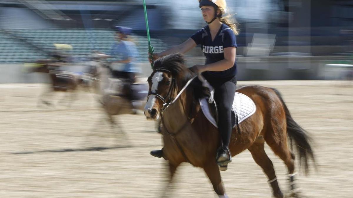 Teams from around the country competed in the Bluegrass Open, presented by the U.S. Mounted Games Association, at Rolex Stadium at Kentucky Horse Park on April 8, 2017.