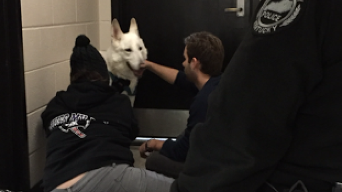 White German shepherd Zeus is comforted by Kentucky Kernel design editor Damir Kocer, center, as a University of Kentucky police officer looks on. Zeus was found outside the Kernel newsroom after spending a cold night lost in Lexington.