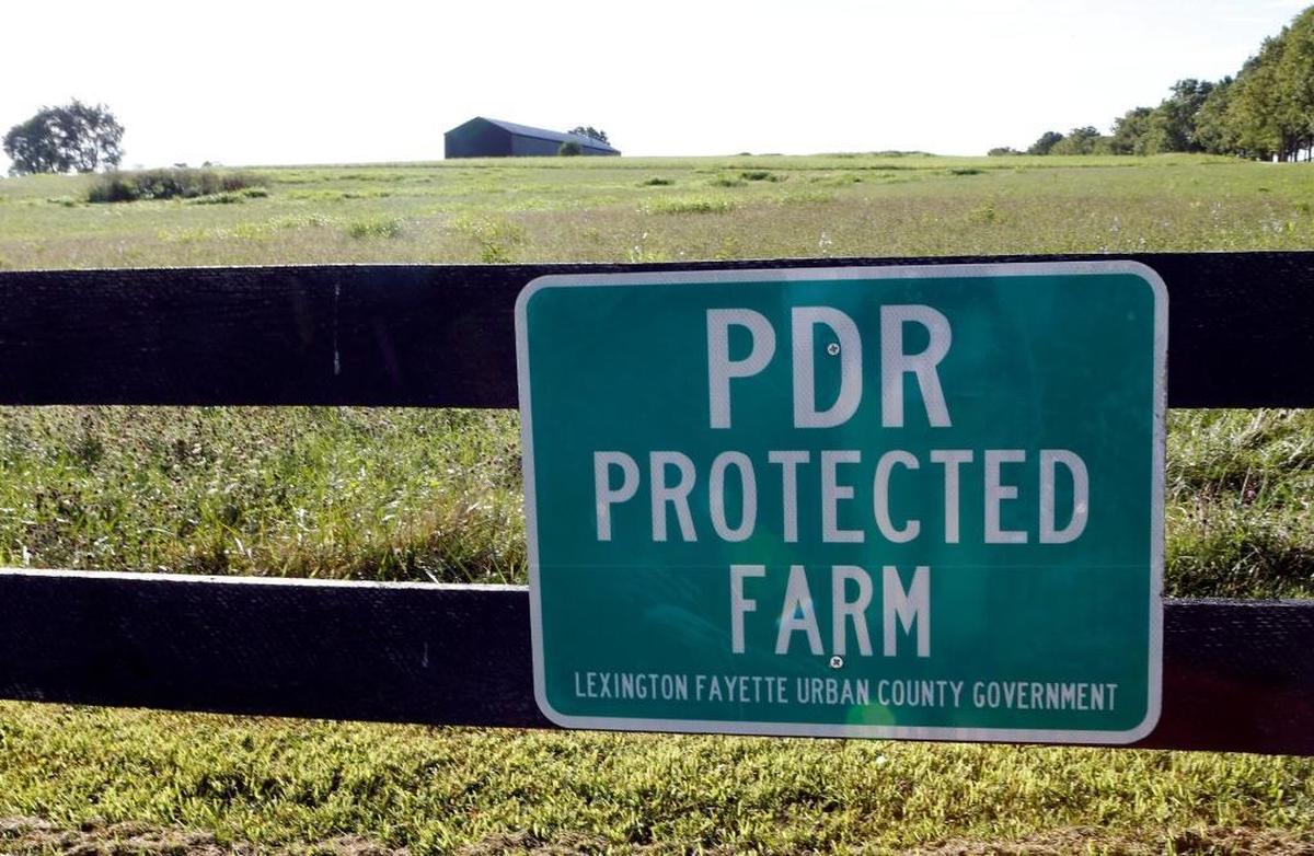 PDR Farm at 6284 Russell Cave Rd. in Lexington, Ky., Monday, August 15, 2016.