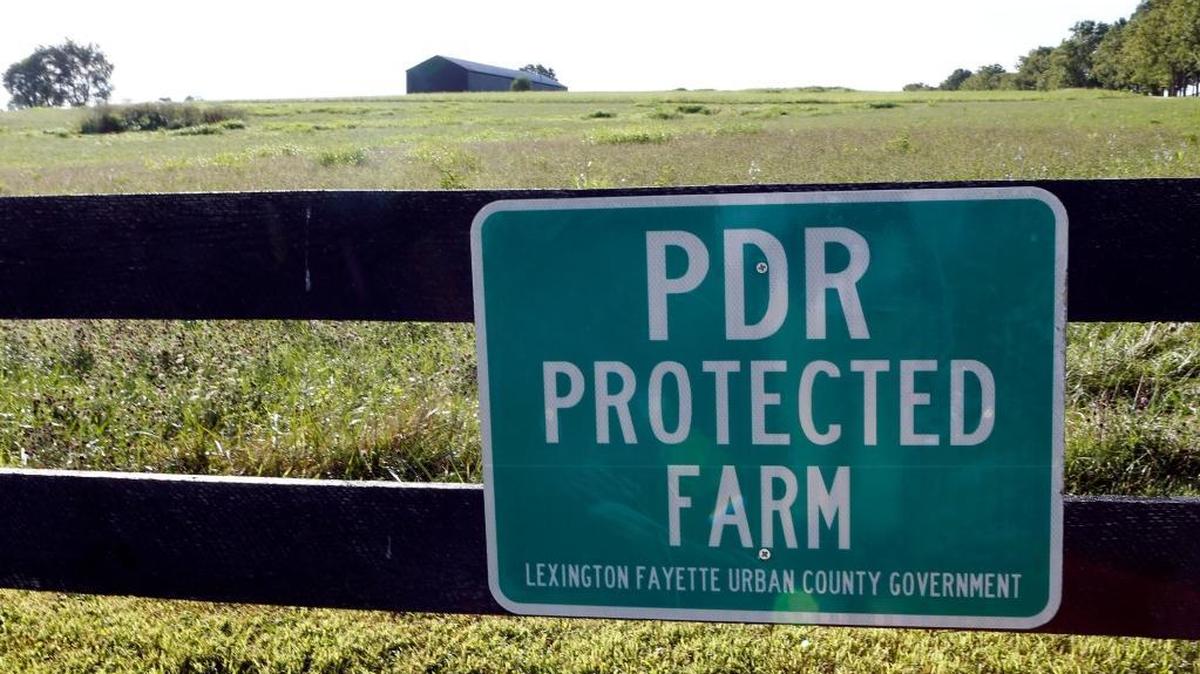 PDR Farm at 6284 Russell Cave Rd. in Lexington, Ky., Monday, August 15, 2016.