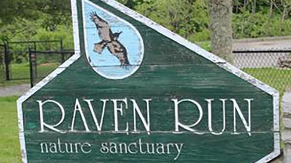 A patient fell around 100 feet from an overlook at Raven Run. She received minor injuries. 