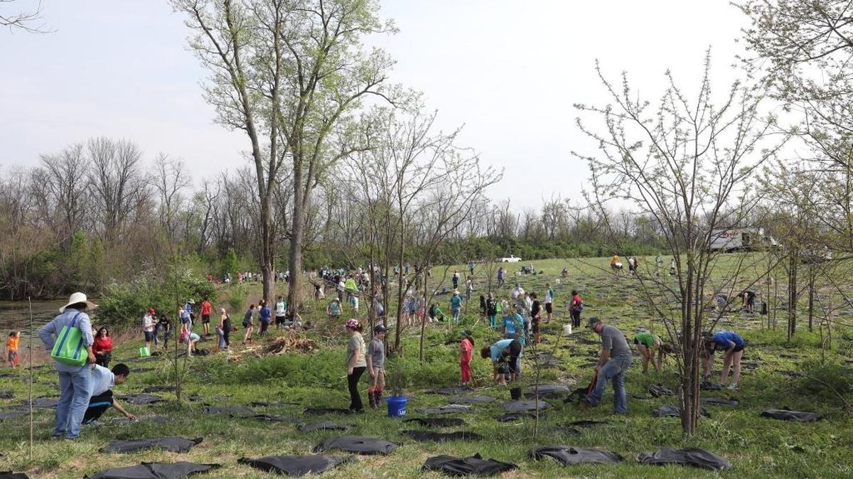 Volunteers planted trees at Hisle Farm Park during Reforest the Bluegrass in 2017.