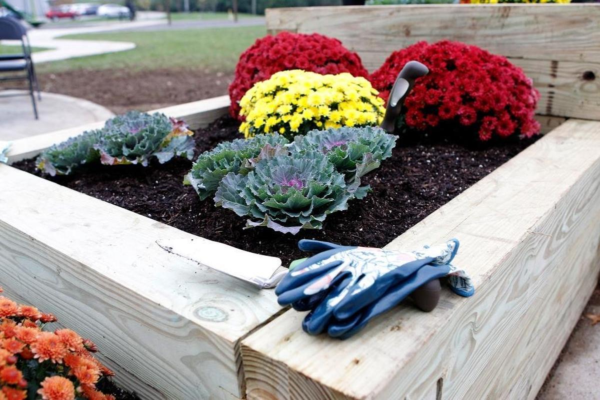 A new raised-bed planter at Idle Hour Park next to the Lexington Senior Center.