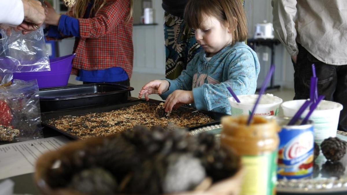 Laura Newton, 3, rolled a peanut butter-coated pine cone in bird seed at the Winter Solstice Party at The Arboretum on Sunday.