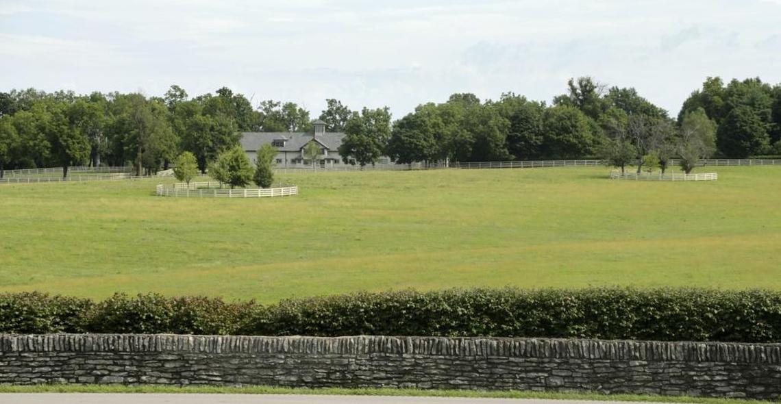 Castleton Lyons at 2469 Ironworks Pike in Lexington, Ky, on Aug. 15, 2016.