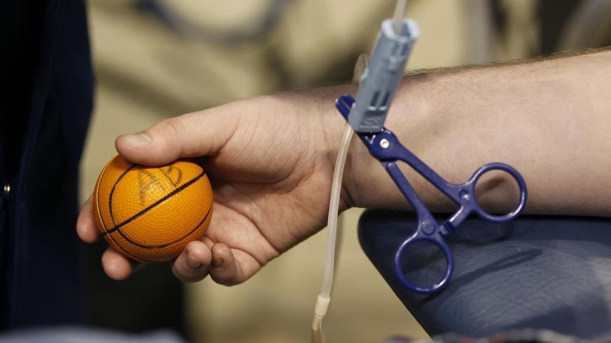 A University of Kentucky student held a squeeze basketball as he donated blood in January 2013 during the 2013 Kentucky Blood Center’s Big Blue Slam blood drive kickoff at Rupp Arena.