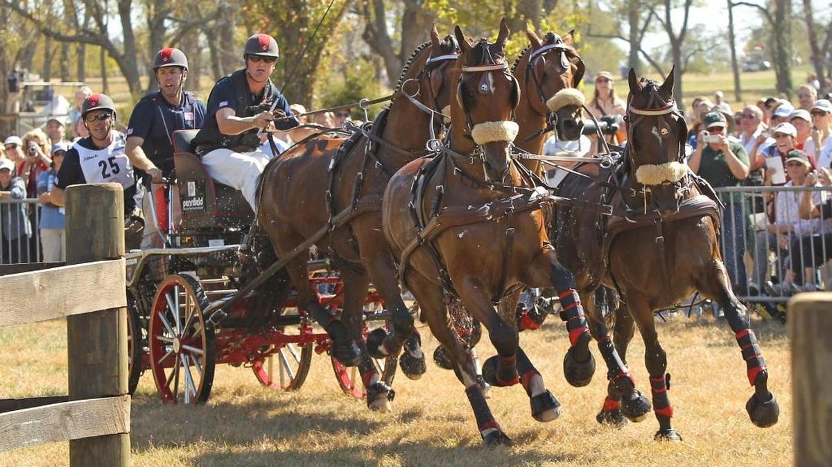 American Chester Weber drove his team through the Walnut Grove obstacle during the 2010 Alltech FEI World Equestrian Games held at the Kentucky Horse Park.