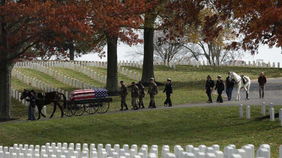 Kosmios, a white Arabian used as the “riderless horse” by the Camp Nelson Honor Guard, followed a caisson for a service for World War II Navy veterans Argyle “Pop” Edgar Hayner and Harvey “Harbor” Jay Wills at Camp Nelson National Cemetery on Nov. 11, 2014. Kosmios was euthanized this week after suffering a broken leg.
