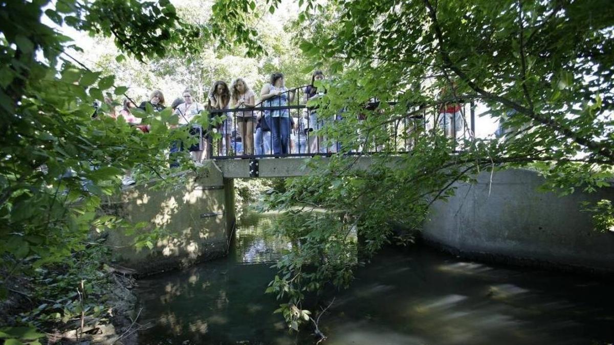 A group of students peered into Cane Run Creek on the University of Kentucky’s Maine Chance Farm on Newtown Pike in 2009.