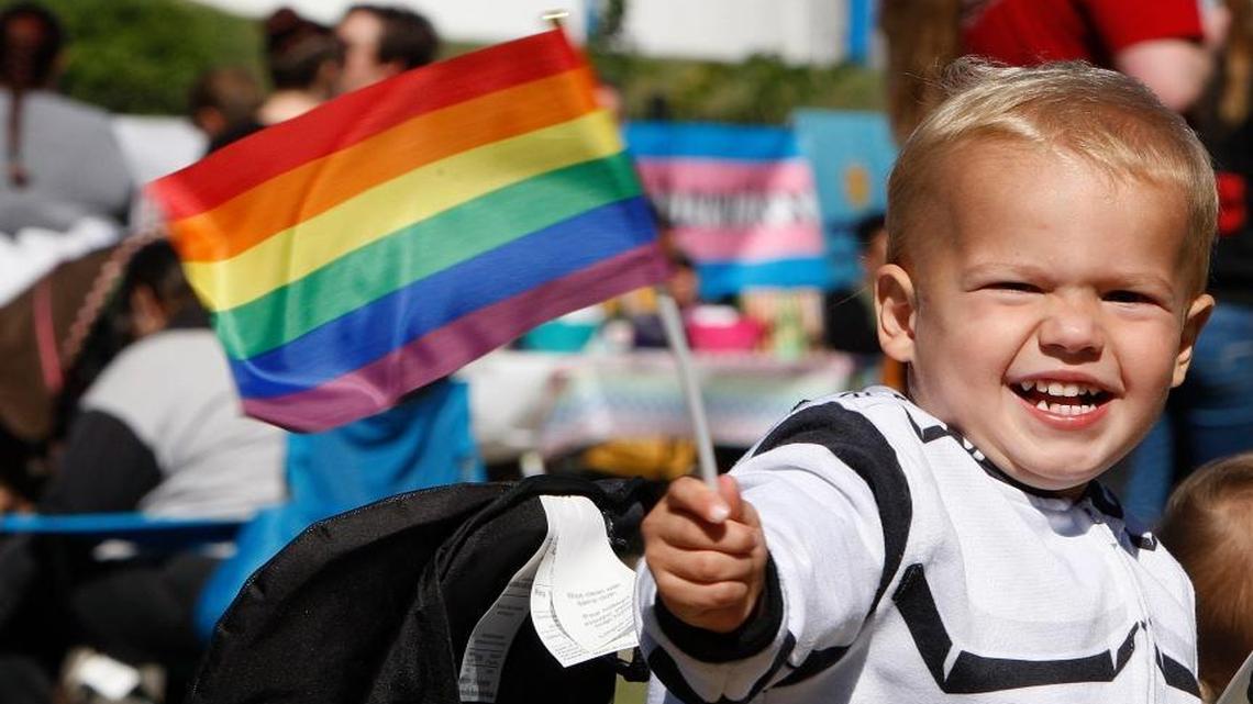 Edward Hoover, 4, waved a rainbow flag at the Pride Festival and community cookout last October in Georgetown. Members of Georgetown Fairness came to the Georgetown City Council last month, requesting the city council to pass a fairness ordinance.