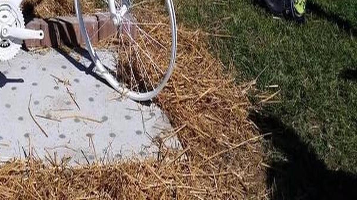 A memorial dedicated to Mark Hinkel, a Lexington lawyer who was killed by a suspected drunk driver in Georgetown, has been stolen.