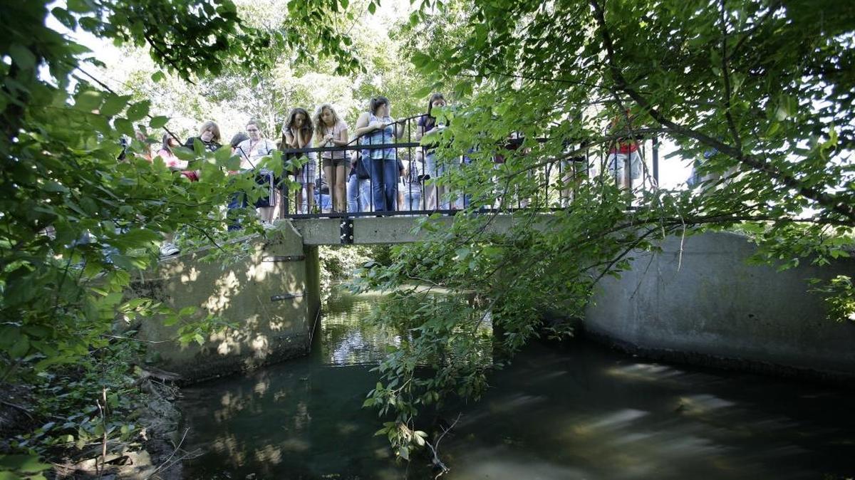 A group of students peered into Cane Run Creek on the University of Kentucky’s Maine Chance Farm on Newtown Pike in 2009.