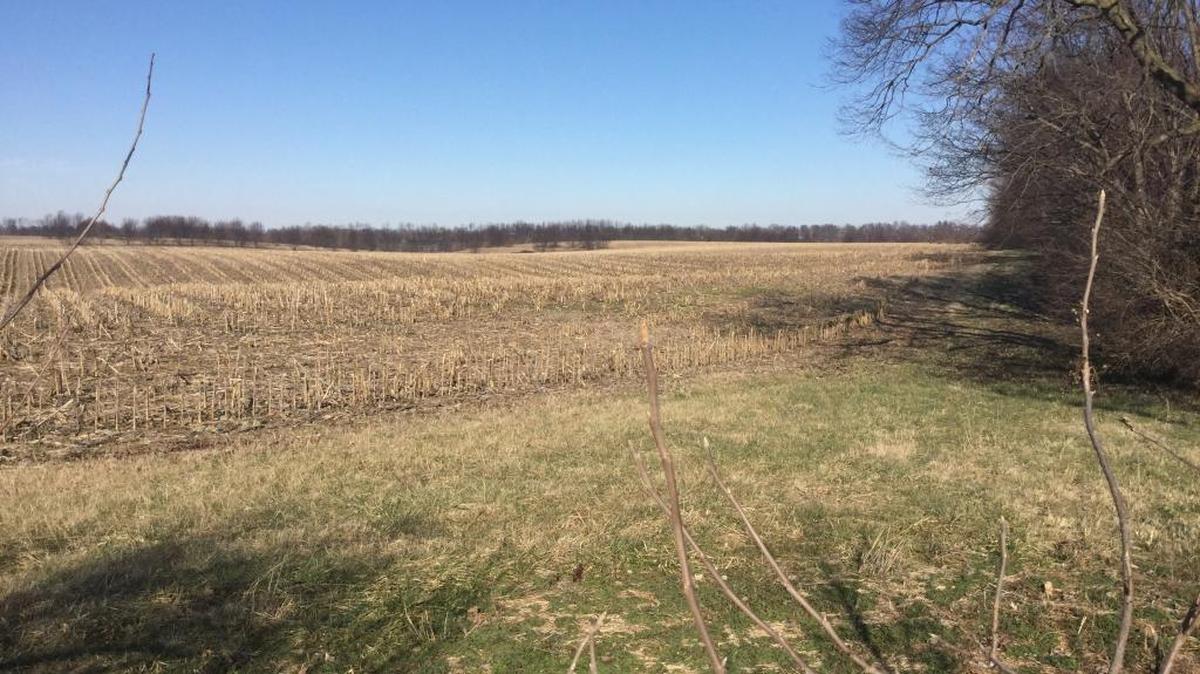 This parcel at the corner of U.S. 60 and Paynes Mill Road is designated for a new hospital east of Versailles. The nearly 30-acre tract is part of a proposed, 400-acre mixed-use development that would include retail stores, single-family homes and light industry.