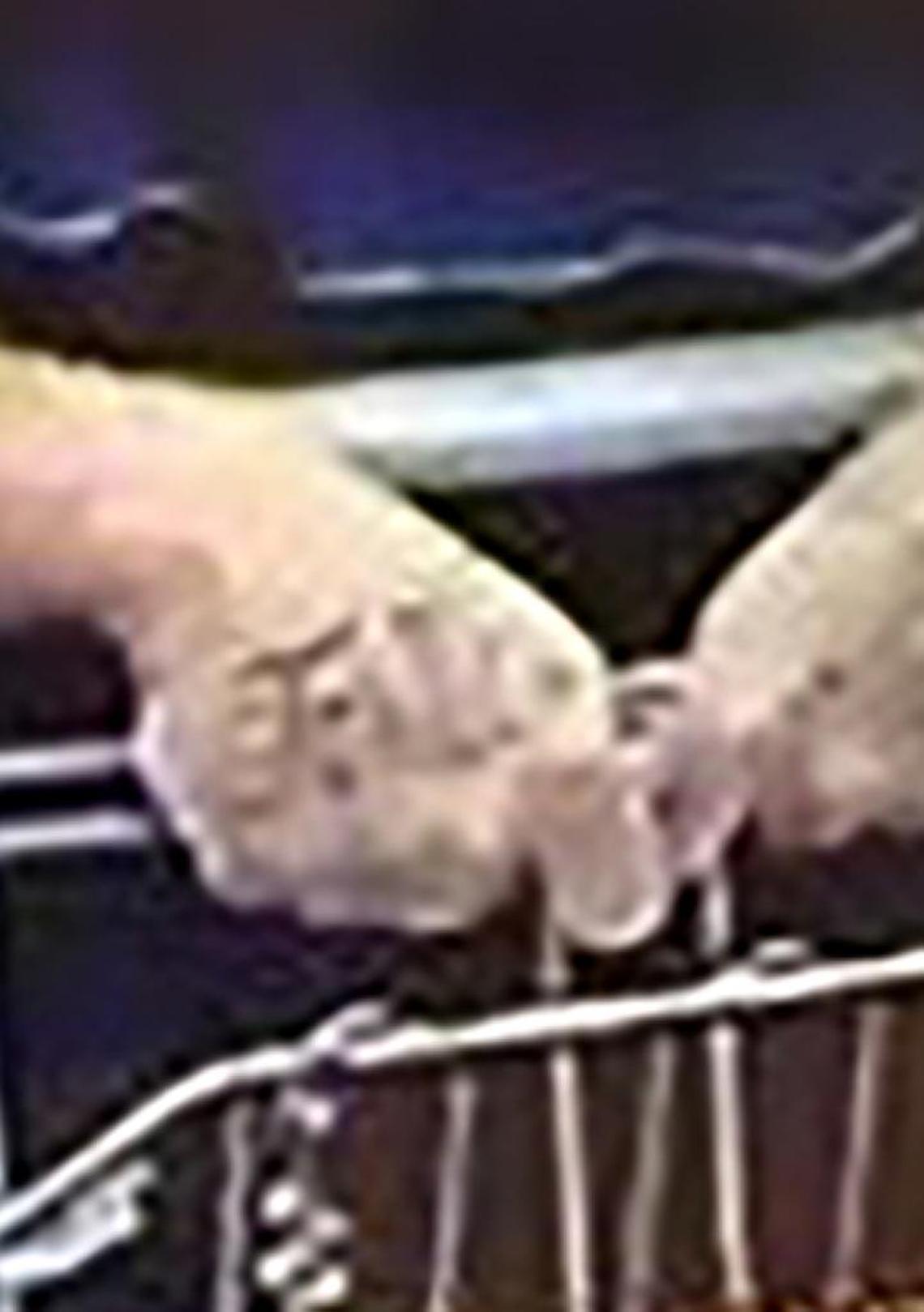 Here is a close-up of the tattoo on the shoplifter’s hand.