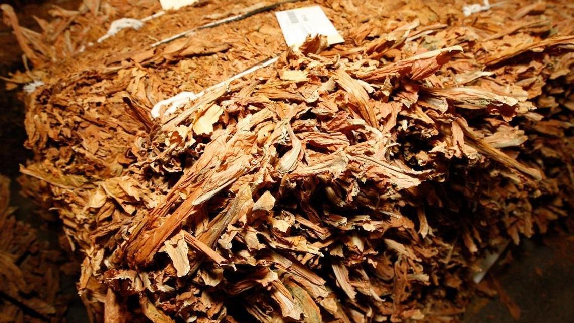 Baled tobacco sat ready for sale at a Mount Sterling warehouse on the opening day of the burley market in 2008.