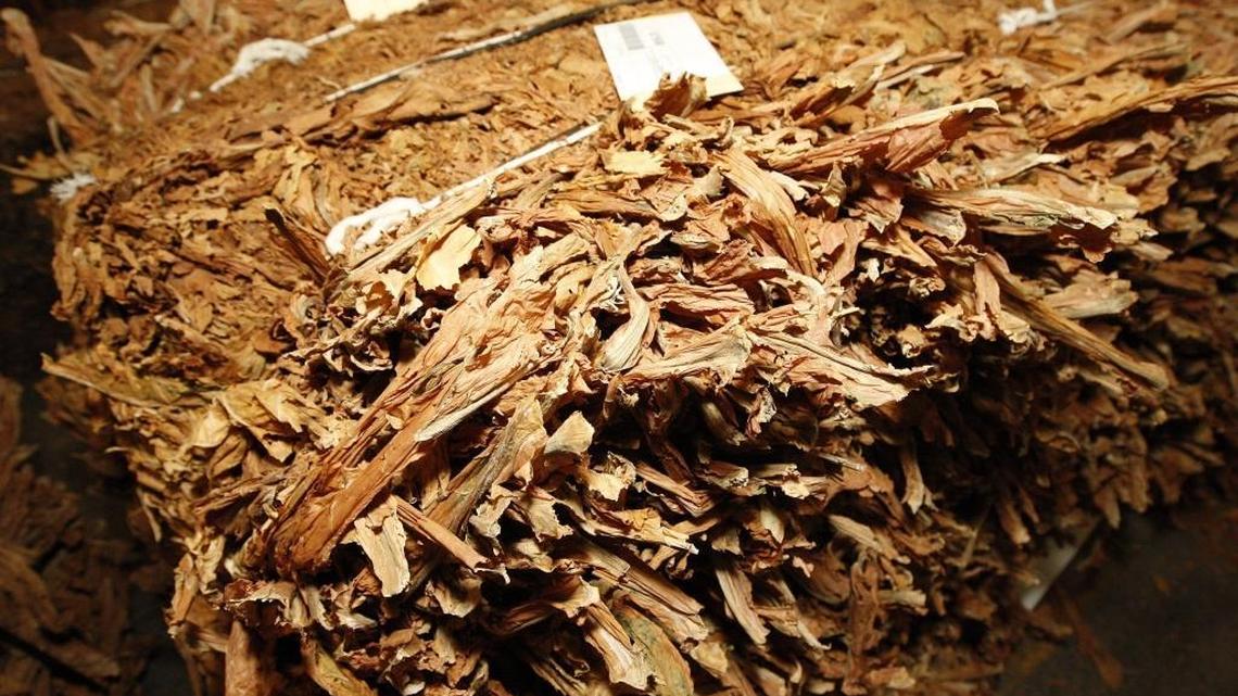 Some of the tobacco baled and ready for sale on the opening day of the 2008 burley tobacco market at Clay’s Tobacco Warehouse in Mount Sterling.