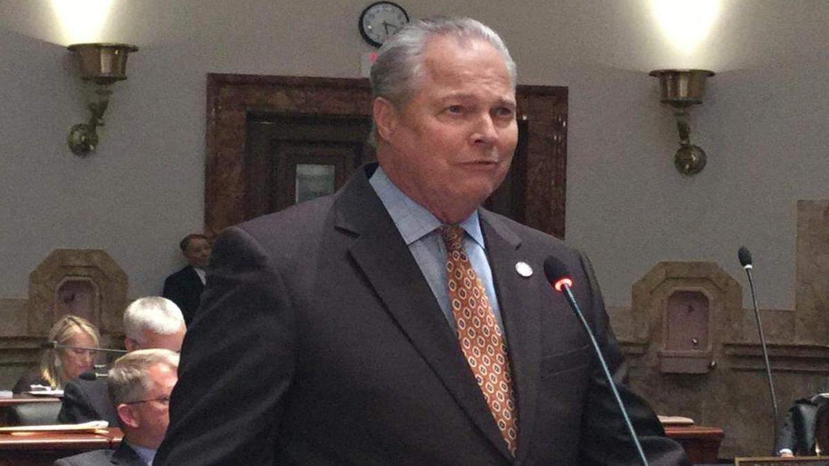 Senate Education Chairman Mike Wilson, R-Bowling Green, touted his Senate Bill 1 during debate Wednesday.