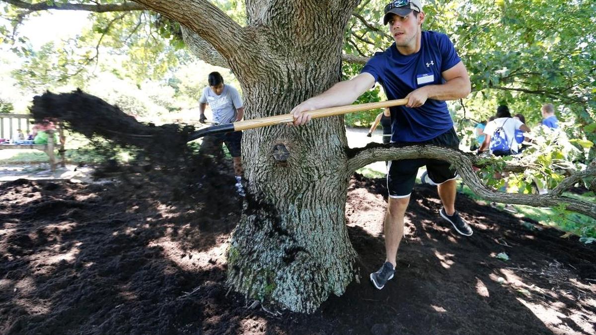 Greg Watts, a junior from Pittsburg, tossed a pitchfork of mulch around a tree branch as part of the University of Kentucky’s annual FUSION at The Arboretum State Botanical Garden of Kentucky on Alumni Drive in Lexington, Ky., Tuesday, August 23, 2016. The 30 students who volunteered at the Arboretum were part of the more than 1,000 students spread out over the community to be involved with FUSION, Kentucky’s largest single-day of service. Students had the opportunity to serve the Lexington community for three hours, connect with peers and learn about other community service opportunities both on campus and in the surrounding community.