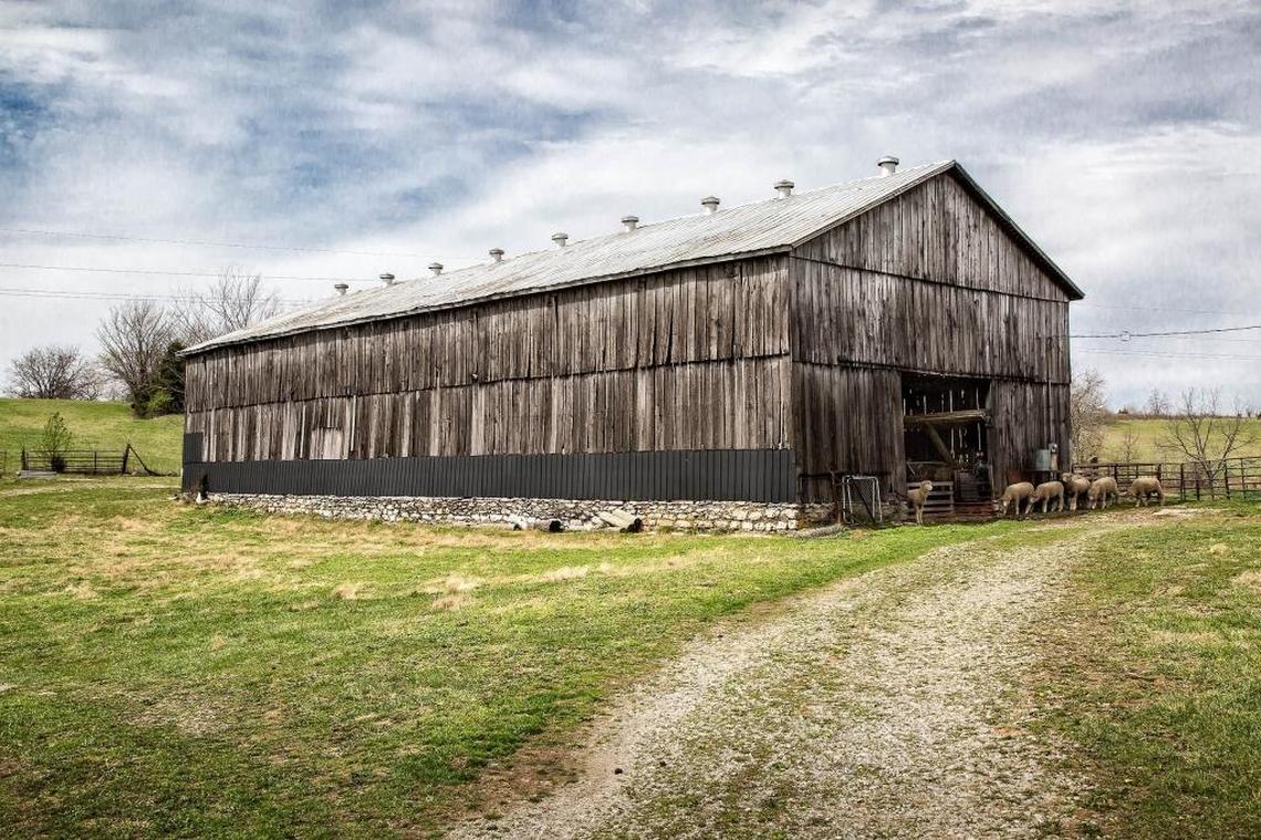 Kentucky’s classic tobacco barns, like this one in Mercer County, have been disappearing since the burley quota progam ended in 2005.