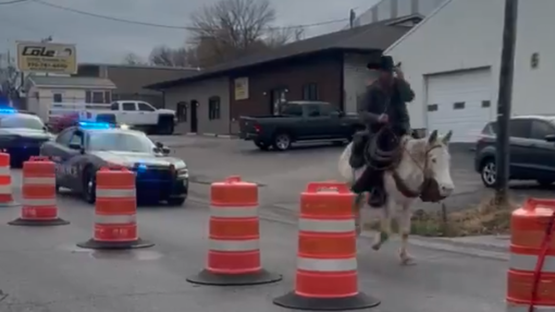 A man tried evading police while riding a mule he is accused of harming, police say.