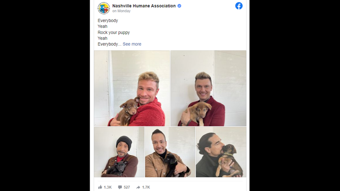 The Nashville Humane Association named a litter of puppies after each member of the Backstreet Boys, and when band’s tour stopped in Tennessee, the shelter caught their meetup on camera.