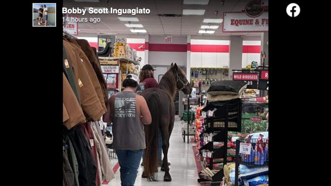 A horse was spotted shopping at a Tractor Supply store in Hazard, Kentucky.
