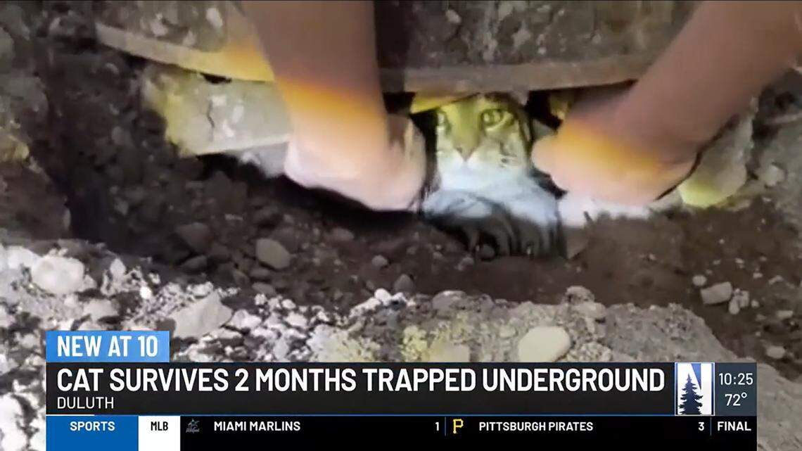 “Dramatic meowing” coming from underground led a Minnesota family to their missing cat that had been trapped in the sewer system for two months.