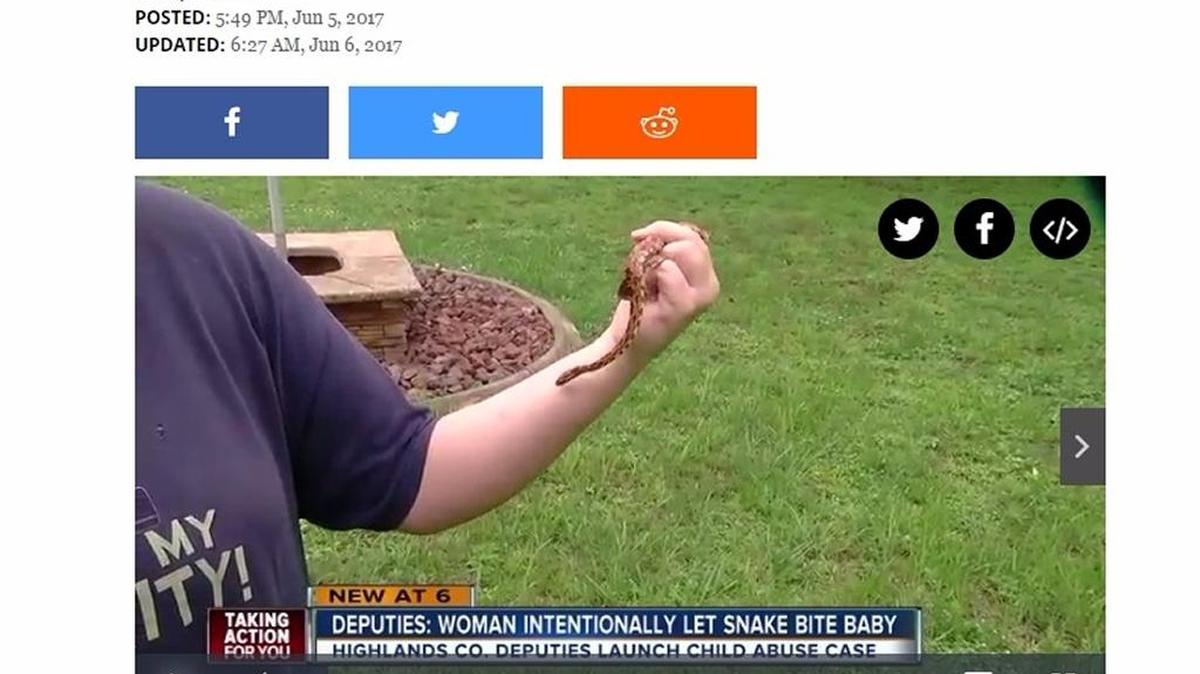 ABC station WFTS in Tampa interviewed the mother whose name wasn’t released. This is a shot taken from the video on the station’s website.