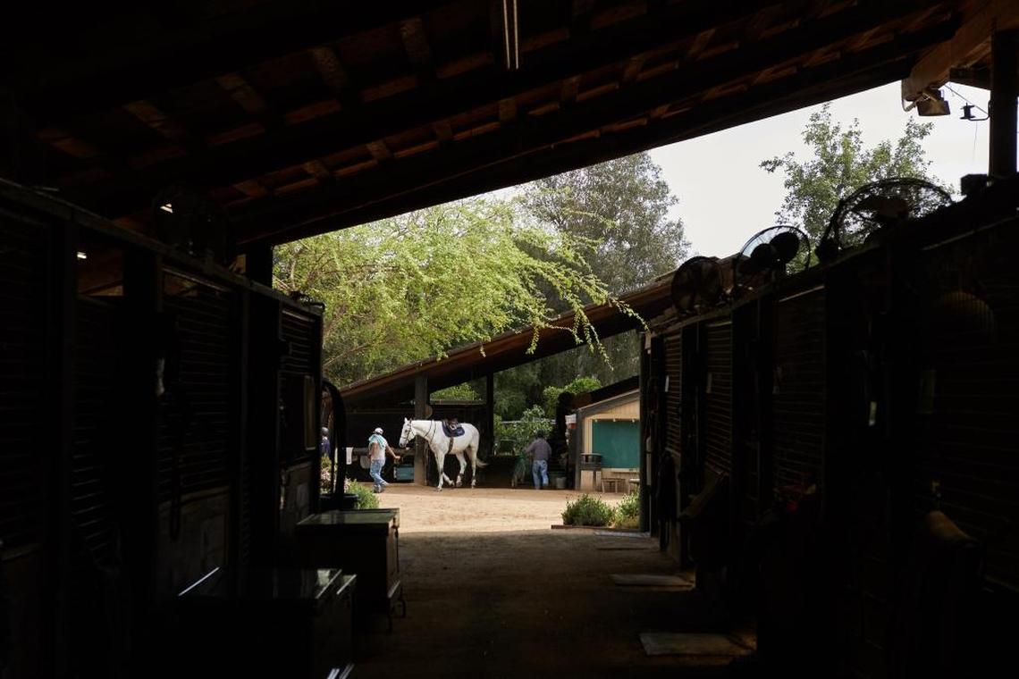 Stables at the Flintridge Riding Club in La Cañada Flintridge, Calif. Jimmy A. Williams, was an instructor who churned out top-flight riders over four decades here and died in 1993.