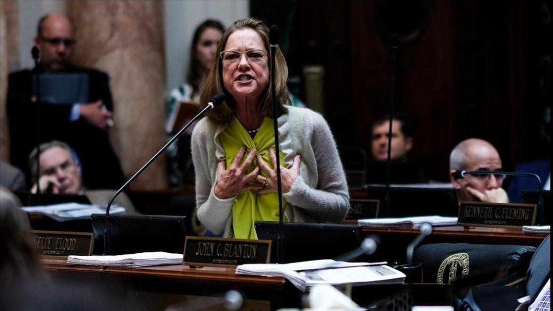 State Rep. Kelly Flood, D-Lexington, urged colleagues not to override Gov. Matt Bevin’s veto of House Bill 366, a tax overhaul bill. The Republican-led chamber voted 57-40 to override the veto.