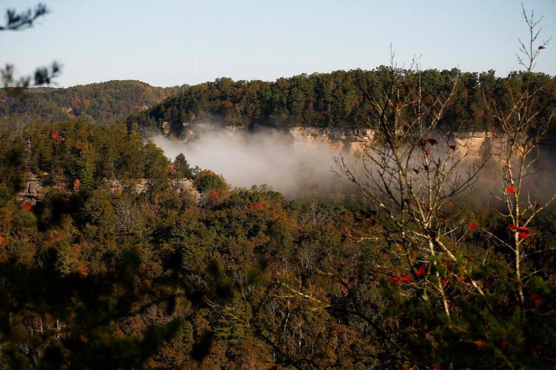In this 2017 file photo, fog moved between the valley near the Devil’s Canyon Overlook in the Red River Gorge Geological Area in Stanton, Ky.