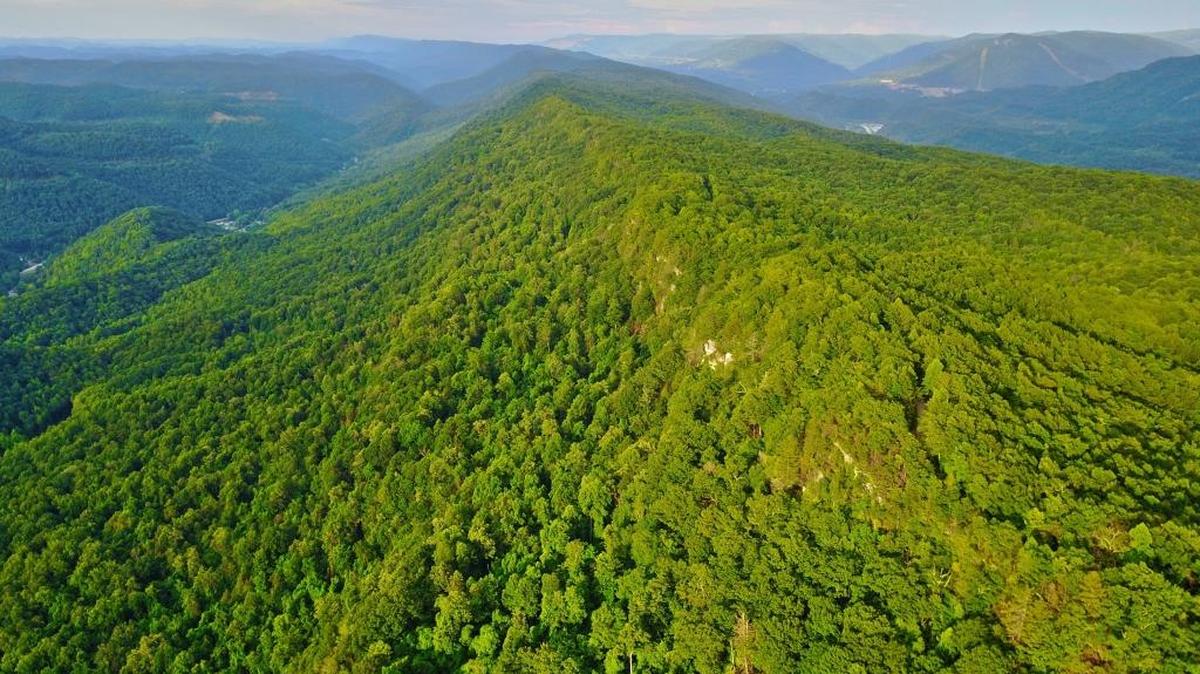 The north face of Pine Mountain.