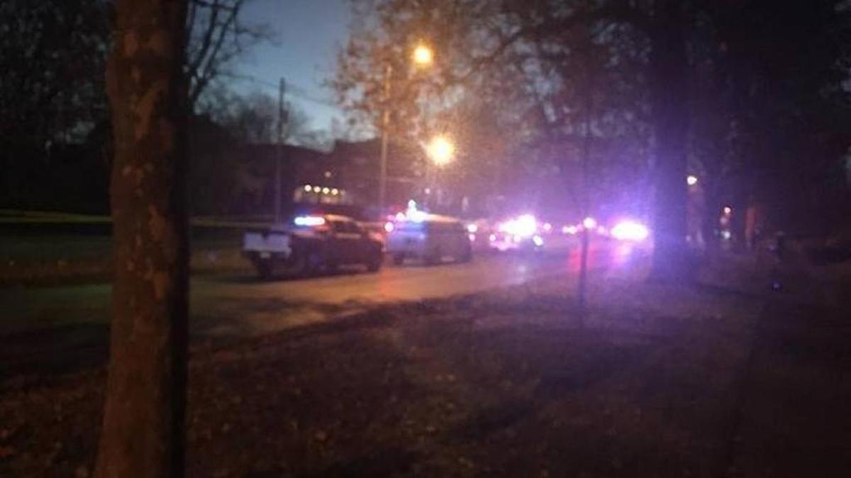 Judith Penelope, 73, was struck and killed while attempting to cross Richmond Road near Desha Road and Mentelle Park.