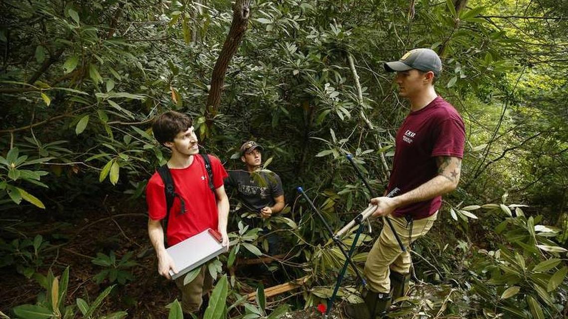 Eastern Kentucky University students searched through rhododendrons for a Copperhead snake in the Red River Gorge Geological Area in September.