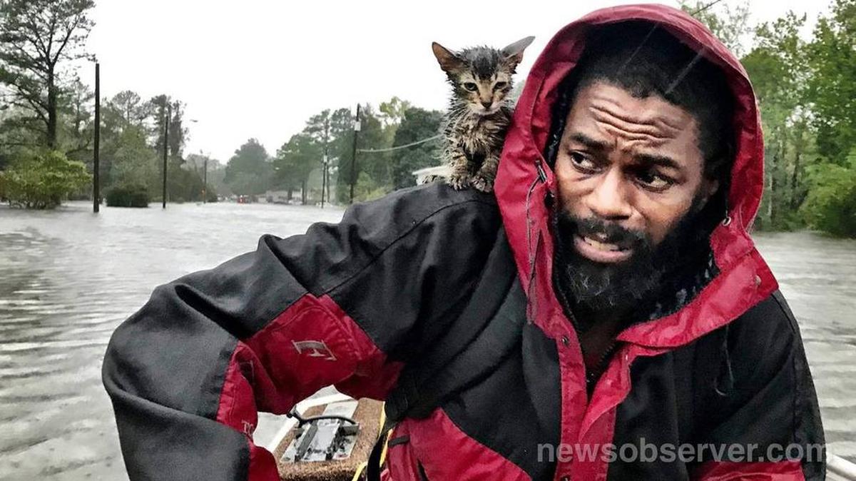 Robert Simmons Jr. and his kitten, Survivor, are rescued from floodwaters in New Bern, N.C.