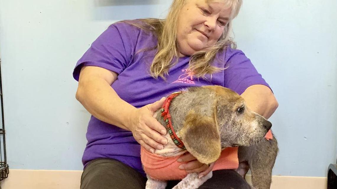 Donna Callahan, director of the Anderson Humane Society, with beagle, Hope