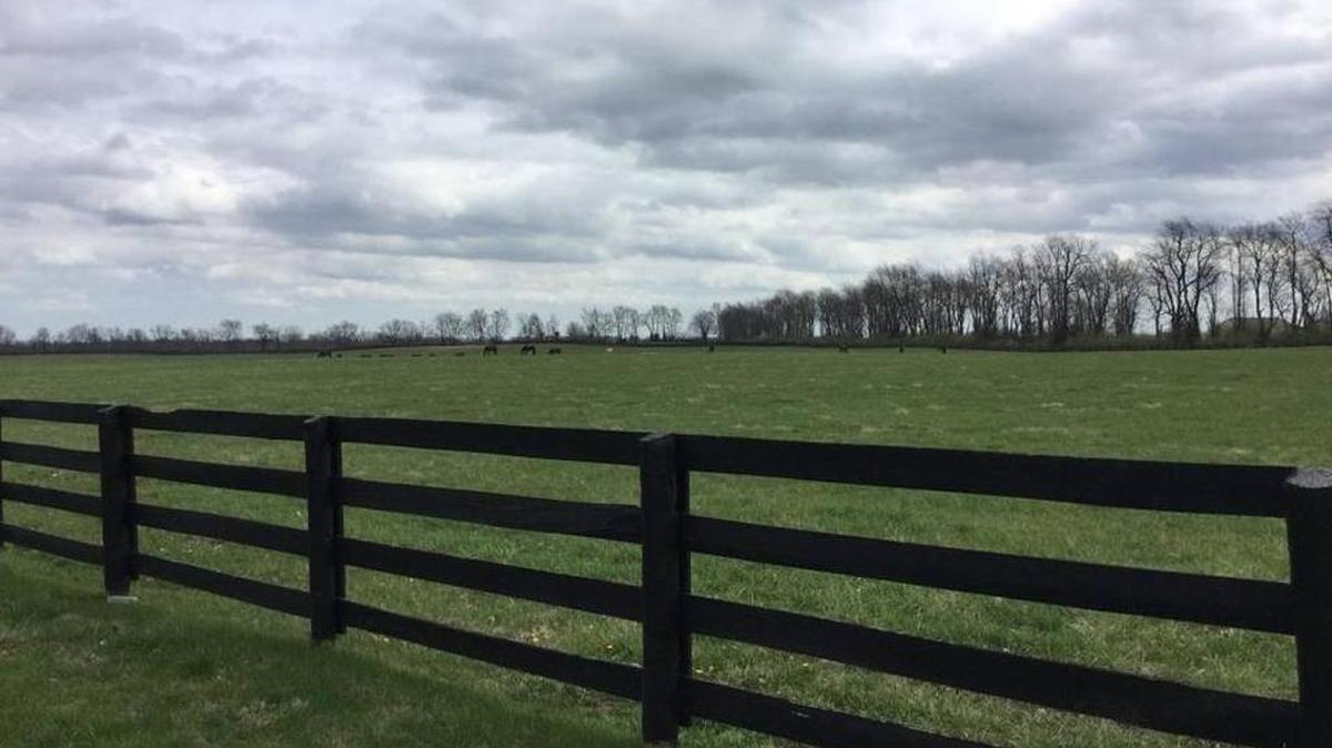 This is the Big Sink Road site where More Than a Bakery LLC plans to build a new Versailles plant that will make cookies and crackers.