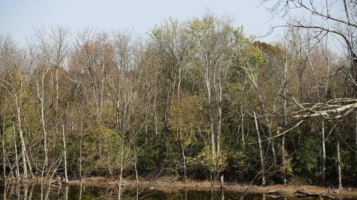 Fayette County’s planning commission has approved Ball Homes’ plans to build 156 homes, 308 apartment units and 31 townhomes on 90 acres off Squires Road near Kentucky American Water’s Lexington Reservoir No. 4, also known as Lake Ellerslie.