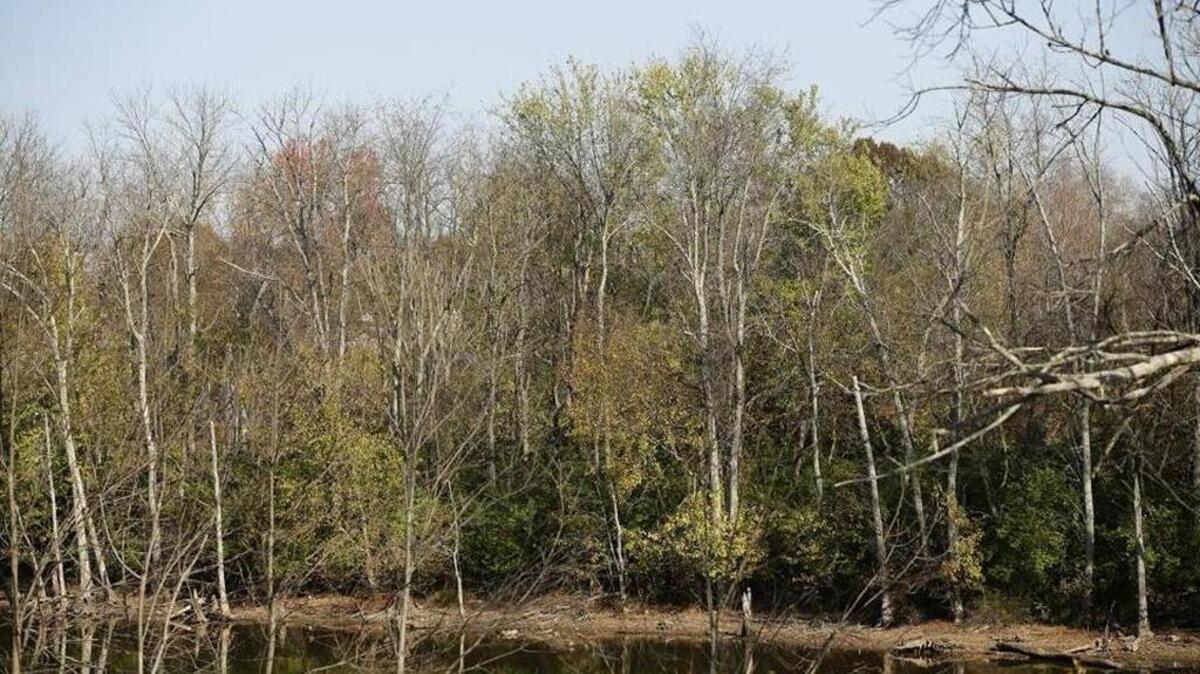 Fayette County’s planning commission has approved Ball Homes’ plans to build 156 homes, 308 apartment units and 31 townhomes on 90 acres off Squires Road near Kentucky American Water’s Lexington Reservoir No. 4, also known as Lake Ellerslie.