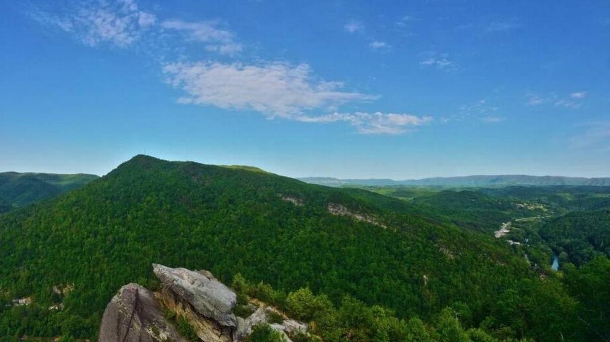 The Narrows Preserve overlooking Pineville