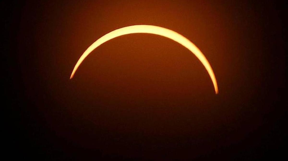 The partial solar eclipse photographed at 2:25 p.m. at the arboretum in Lexington.