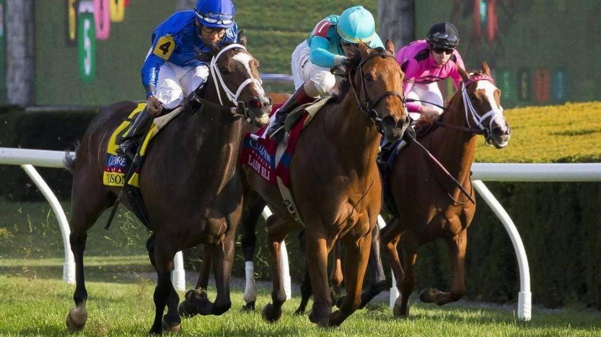 Tracks such as Keeneland would be governed by uniform medication rules, including a ban on race day medication, under a bill proposed by U.S. Rep. Andy Barr, R-Ky., and Paul Tonka, D-N.Y.