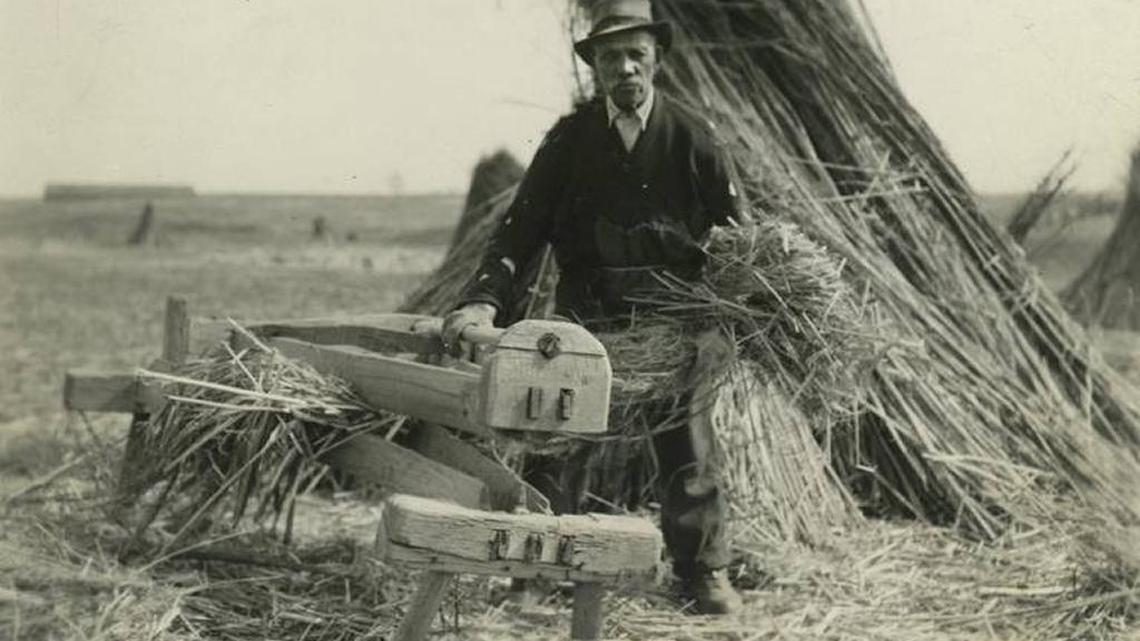 An undated photo shows a black hemp worker using a brake to begin turning the stalk into fiber