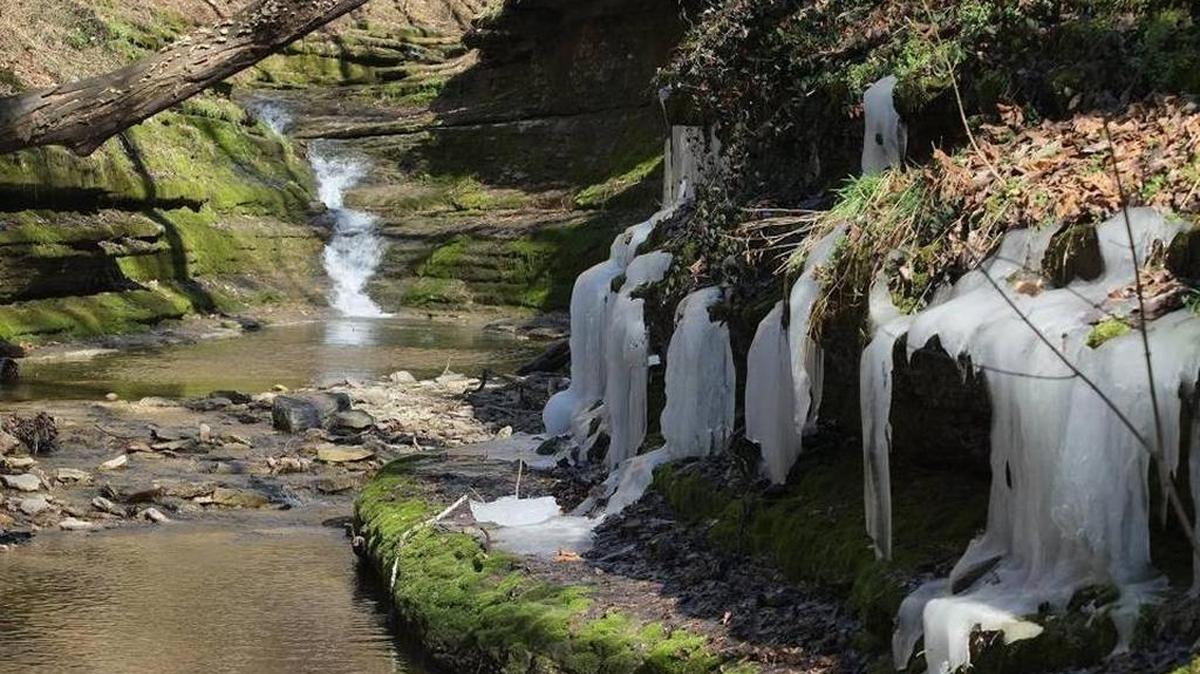 Lower Howard’s Creek, the 348-acre nature and heritage preserve near Lexington, was purchased with money from the Kentucky Heritage Land Conservation Fund.