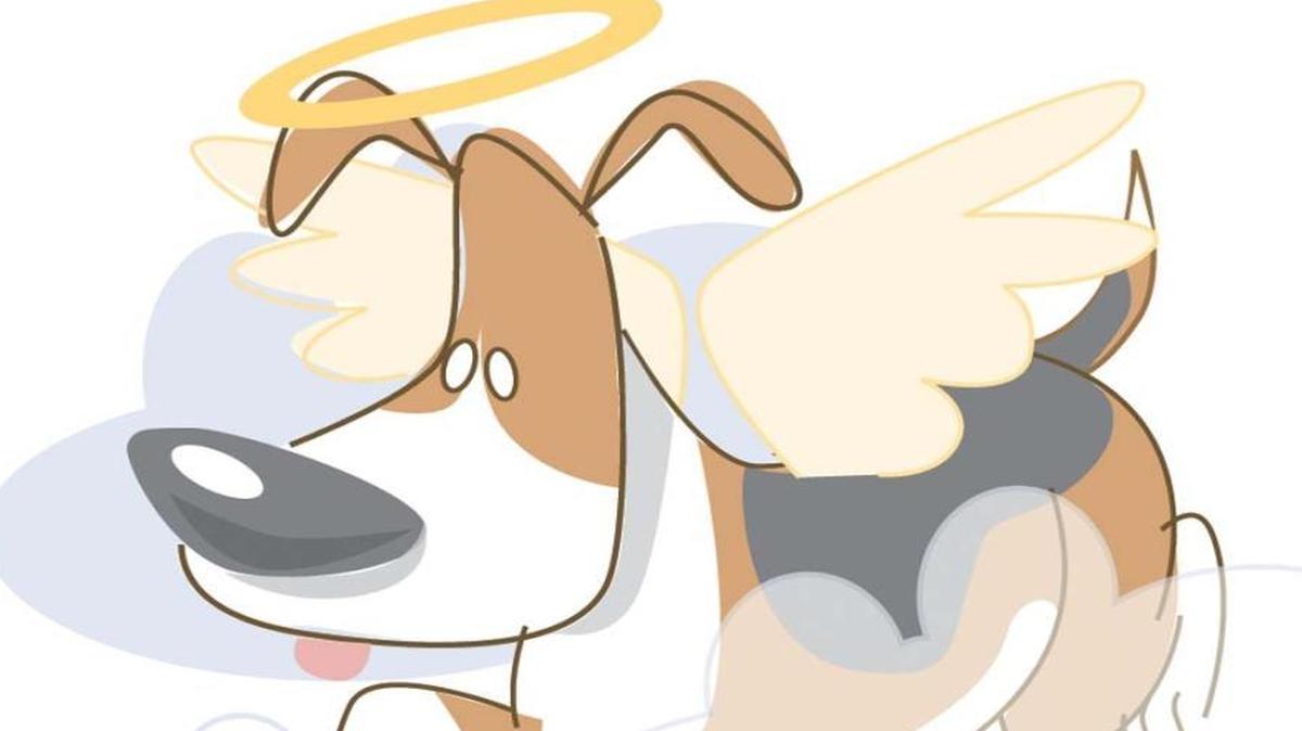 Do pets go to heaven? After pulling together some thoughts on the topic by Christian thinkers, columnist Paul Prather concluded that they do.